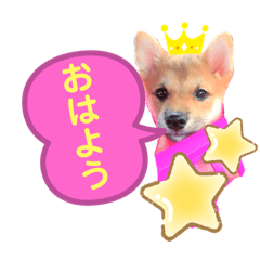 kaho_20200113032940