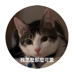 迷迷ㄟ