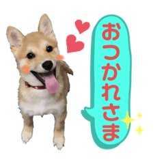 NATSUMI_20200113142942