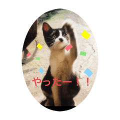 nozomi_20200113150706