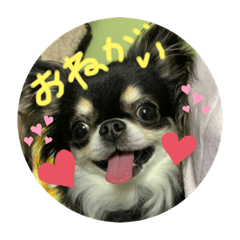 pyon_20200113132325