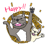 French BullDog P-Nosuke!!
