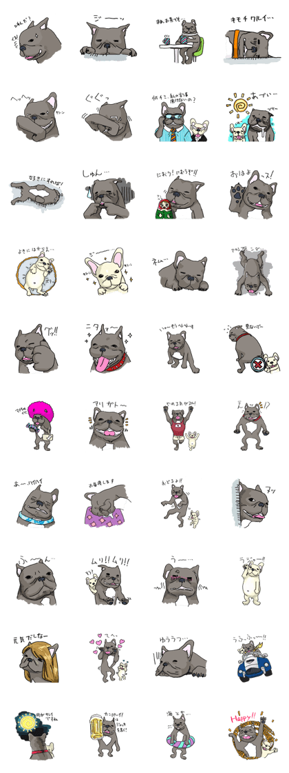 French BullDog P-Nosuke!!