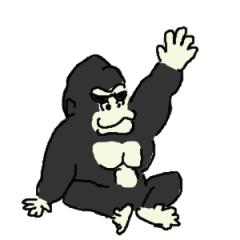 Gorilla gori