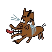 Funny horse and honest sheep