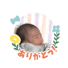 koz_2020011321243