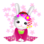 Maiko bunny Kyoto valve