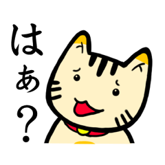 Pretty cat Nyanda-san