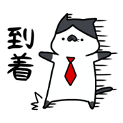 MOMONEKO cats