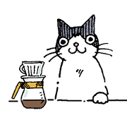 midnight cat cafe "catnap"