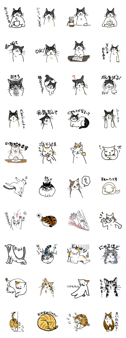 midnight cat cafe "catnap"