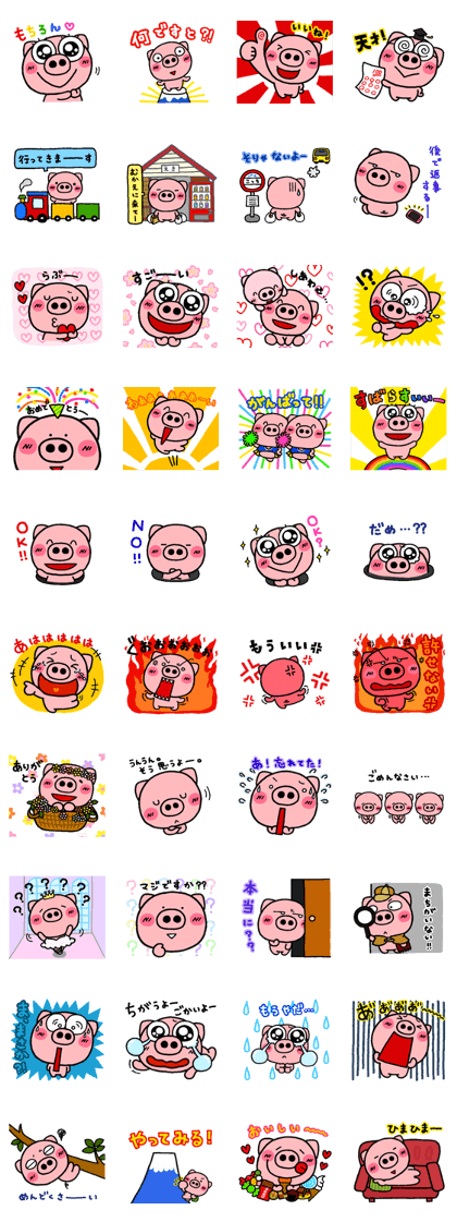 pig heart 3