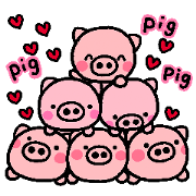 pig heart 3(English)