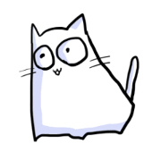 he is white cat