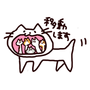 Myao's cat