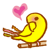 "PEACH", Peach-faced Lovebird