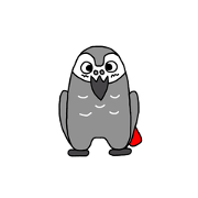African Grey1