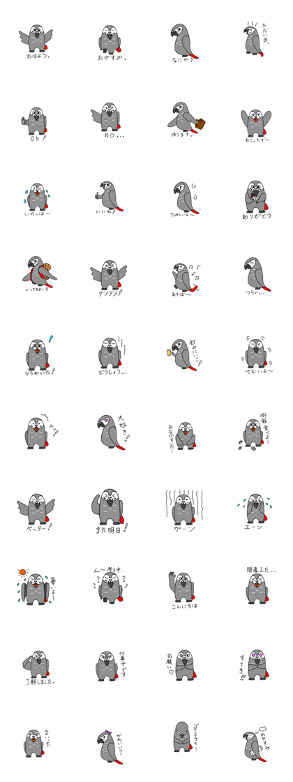 African Grey1