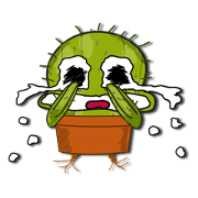 Cactus boy -Abel
