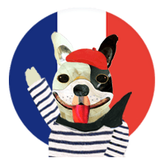 Let's talk "French Bulldog"