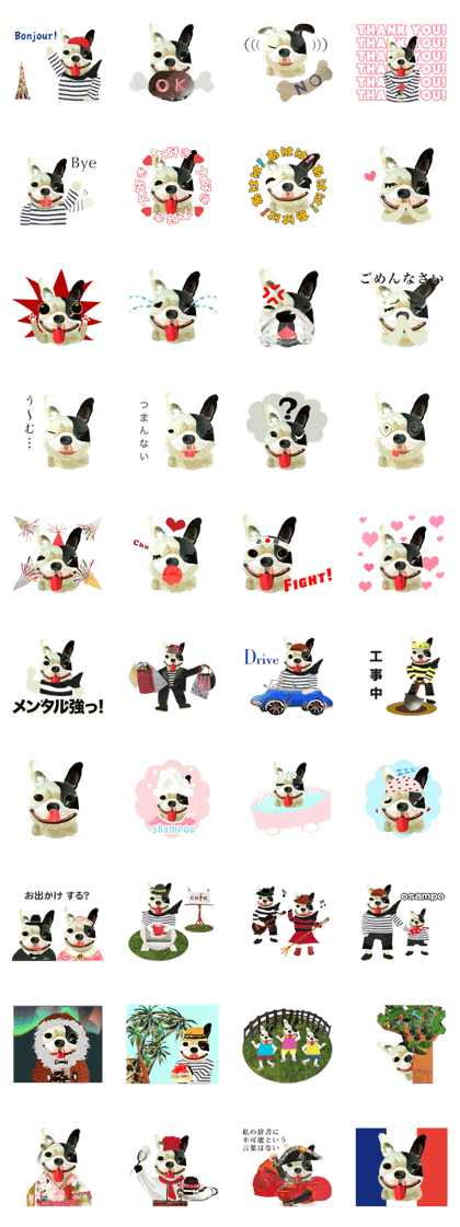 Let's talk "French Bulldog"