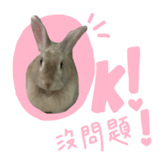 小胖專屬特輯4