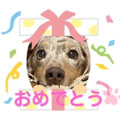 pyon_20200114013824