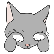 cutie cat face