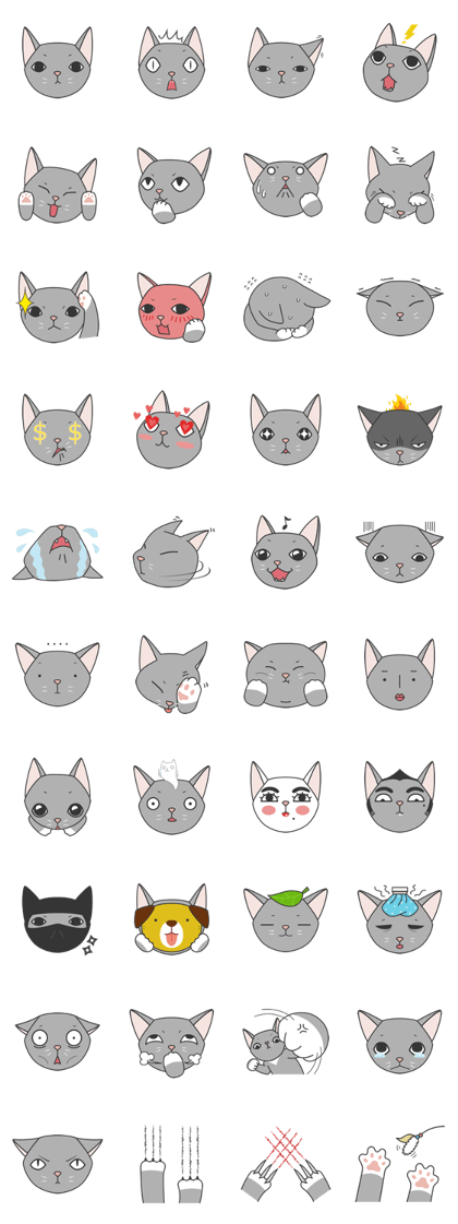 cutie cat face