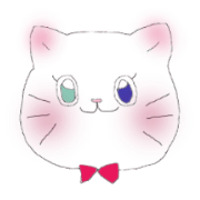 White cat"CANDY"