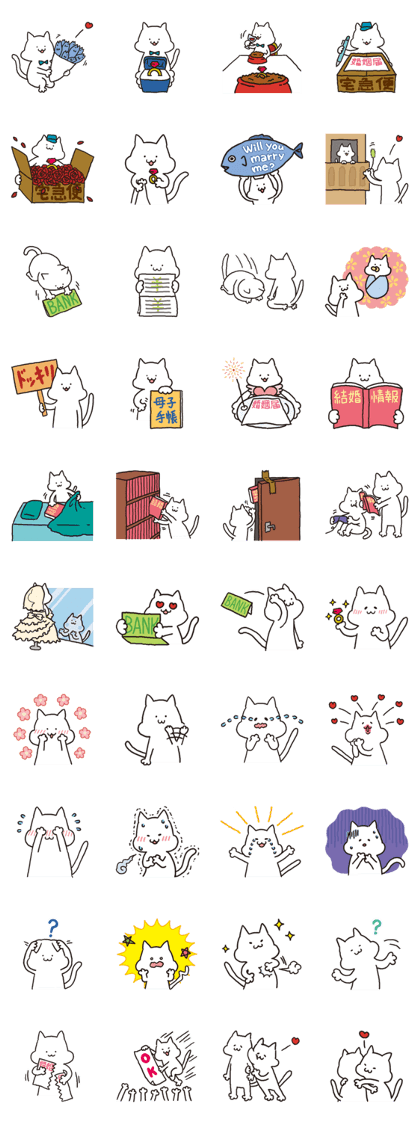 marriage proposal cat