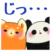 A giant panda and lesser panda