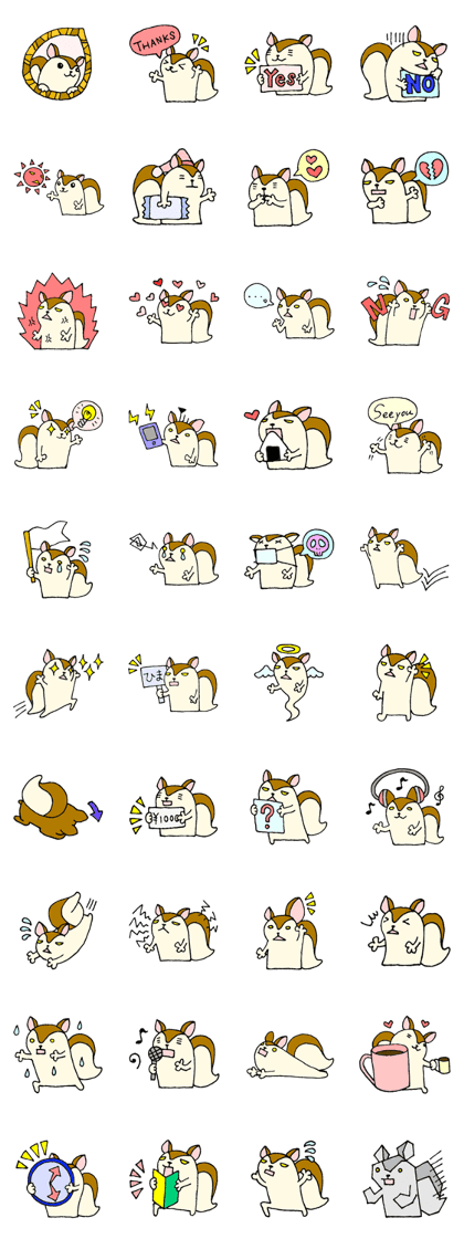 Daily squirrel