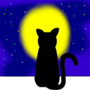 Flattery of cat