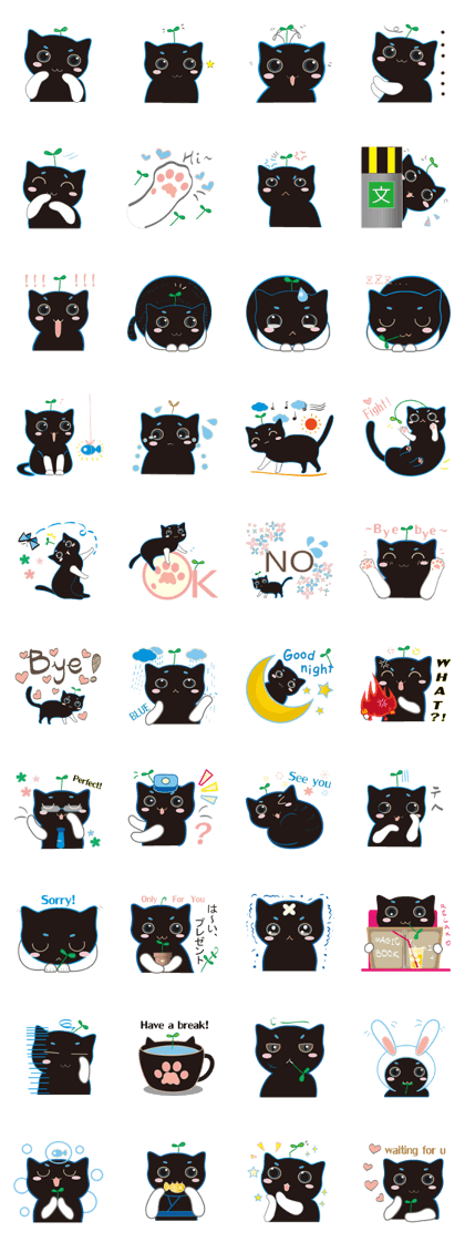 A Cat Named Moemoeme Shirokuroneko