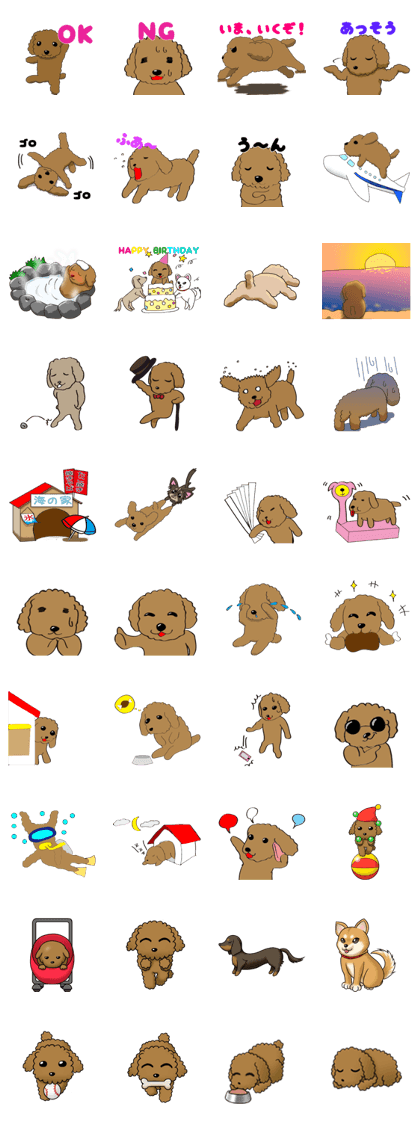 Let's play with a toy poodle