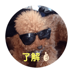 moca.moco.shima.kokichi.solkichi