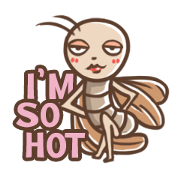 Lady The Cockroach