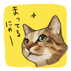 Futaro The Cat "Okawari"