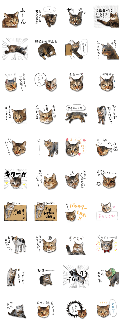 Futaro The Cat "Okawari"