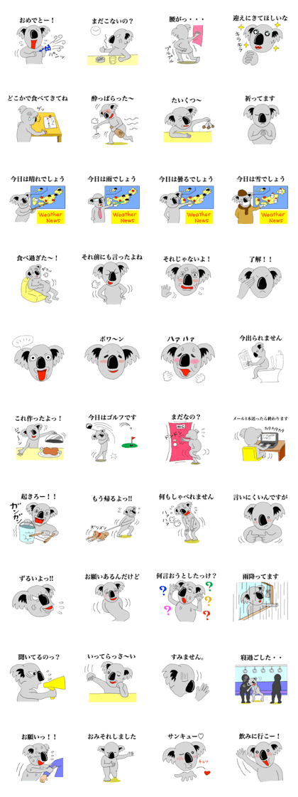 The long-faced KOALA Part2