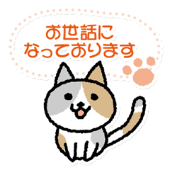 Cat Japanese message