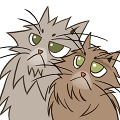 Leo&Rea!!