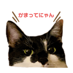 mush_20200114143224