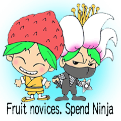 Fruit novices. Spend Ninja