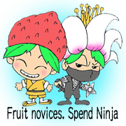 Fruit novices. Spend Ninja