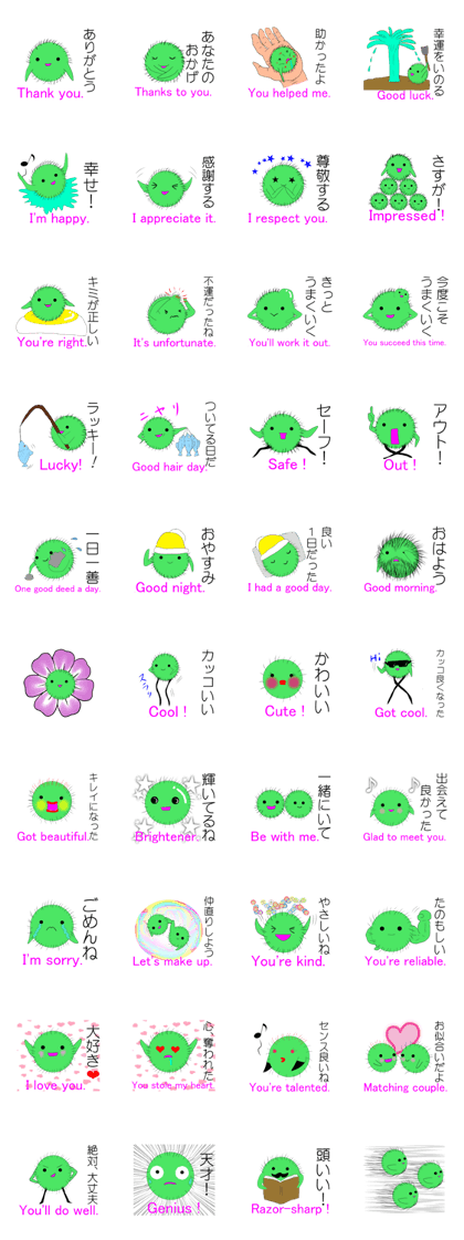 Happy MARIMO in HOKKAIDO