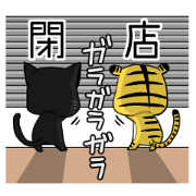 Black panther and tiger