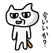 The White cat "Nekokun"