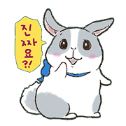 USAMORU in Korean